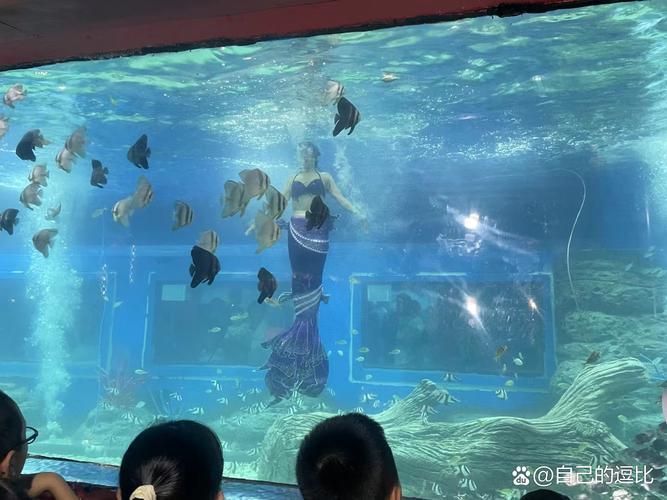 北戴河龍魚養(yǎng)殖基地有哪些？，關(guān)于北戴河龍魚養(yǎng)殖基地的問題