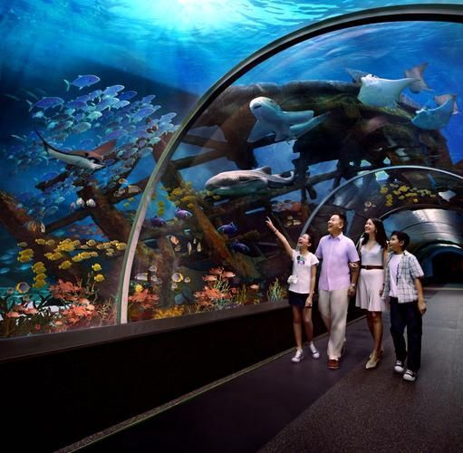 北戴河龍魚養殖基地有哪些？，關于北戴河龍魚養殖基地的問題