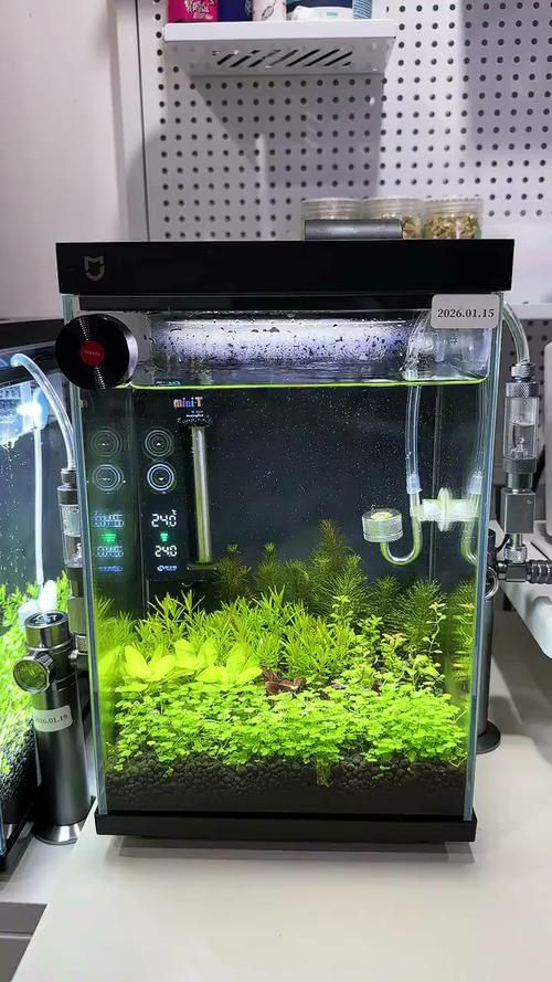 推薦幾款其他性價比高的魚缸，尋找性價比高的魚缸時，可以考慮以下幾款其他性價比高的魚缸
