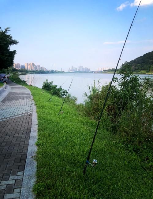 廣東觀魚釣場交通指南