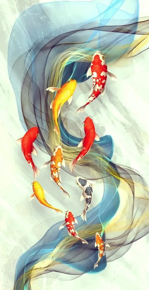 請?zhí)峁┦箫L(fēng)水魚的詳細(xì)圖片，十大風(fēng)水魚十大風(fēng)水魚詳細(xì)解析，金魚象征著財(cái)富和繁榮