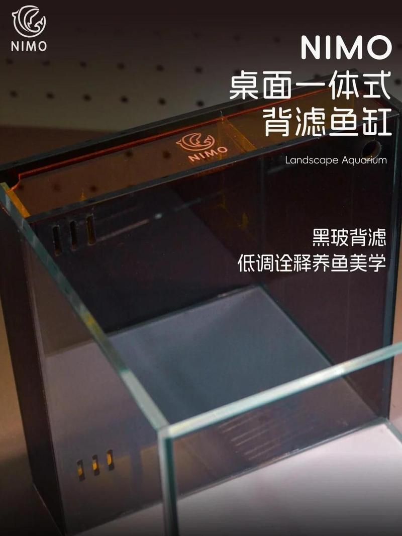 如何搭配背景色增強(qiáng)龍魚(yú)的觀賞性？，如何搭配背景色以極致增強(qiáng)龍魚(yú)觀賞性