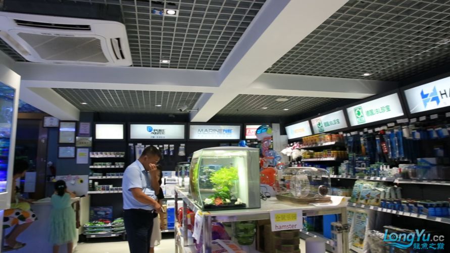 羅湖龍魚有哪些知名品牌，深圳羅湖龍魚品牌羅湖龍魚有哪些知名品牌羅湖龍魚品牌
