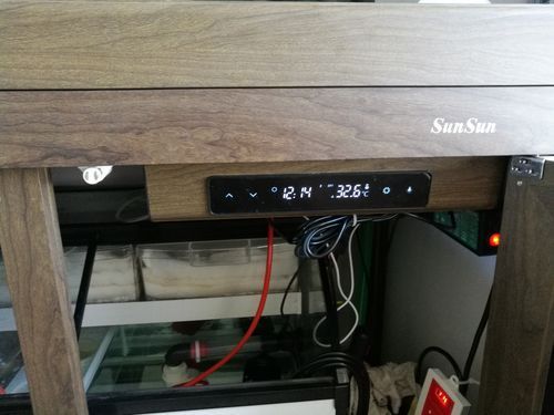 升溫治療龍魚寄生蟲的具體步驟，升溫治療龍魚寄生蟲