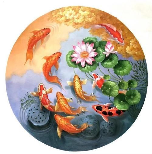 風(fēng)水魚圖片大全大圖，風(fēng)水魚圖片大全
