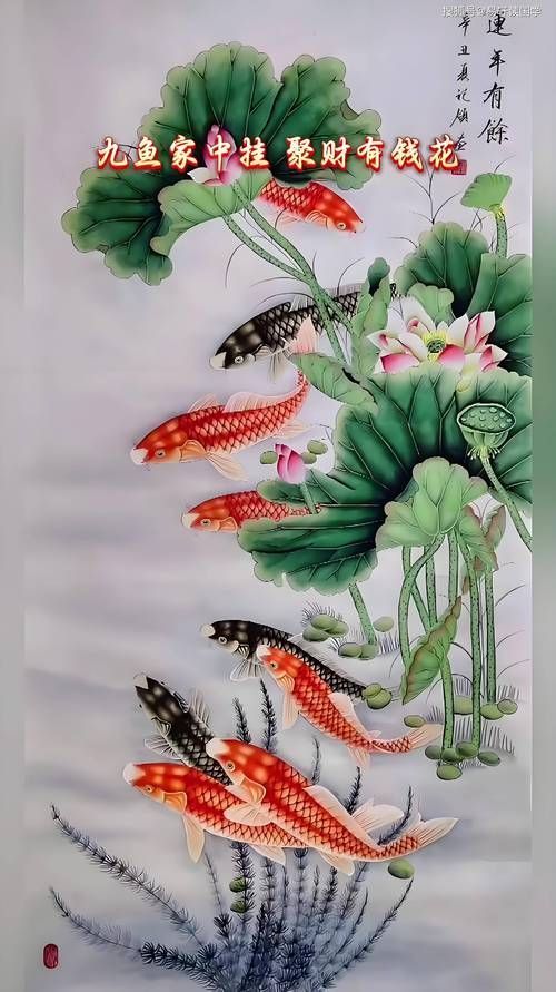 風(fēng)水魚圖片大全大圖，風(fēng)水魚圖片大全