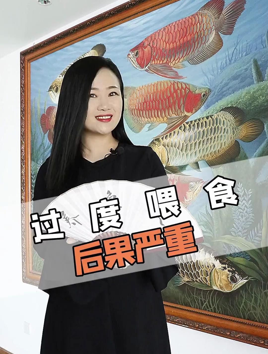 龍魚一次吃撐了會(huì)怎樣？，新手養(yǎng)龍魚千萬(wàn)別喂太飽4大弊端得知道龍魚是否健康