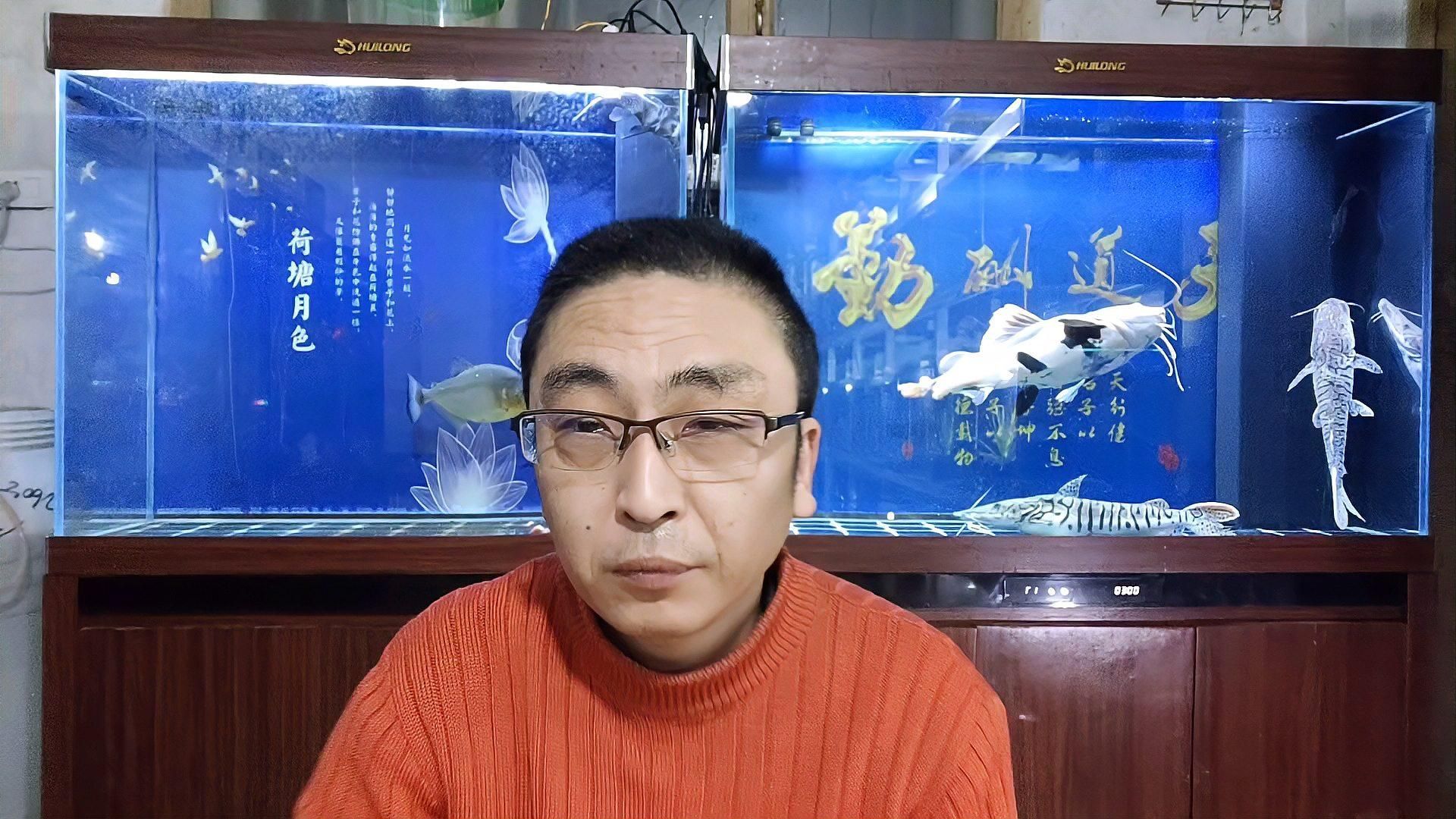 魚撞缸后多久會恢復，魚撞缸后多久會恢復，如何判斷魚是否撞缸？