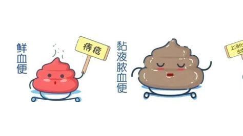 龍魚拉白便后如何恢復(fù)？，龍魚拉白便后如何恢復(fù)