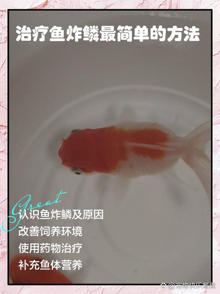 魚炸鱗治療期間如何保持水質(zhì)，魚炸鱗治療期間治療期間水質(zhì)治療期間水質(zhì)管理攻略