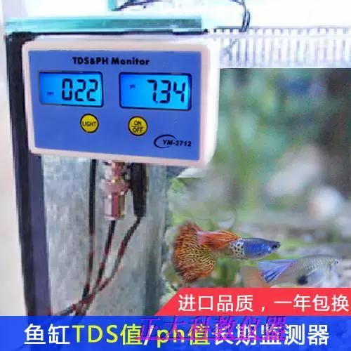 開縣龍魚的養殖技術有哪些？