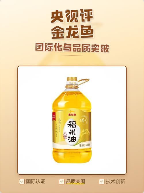 央視對金龍魚的評價，央視主持人對金龍魚進行了評價，央視對金龍魚的評價是積極的