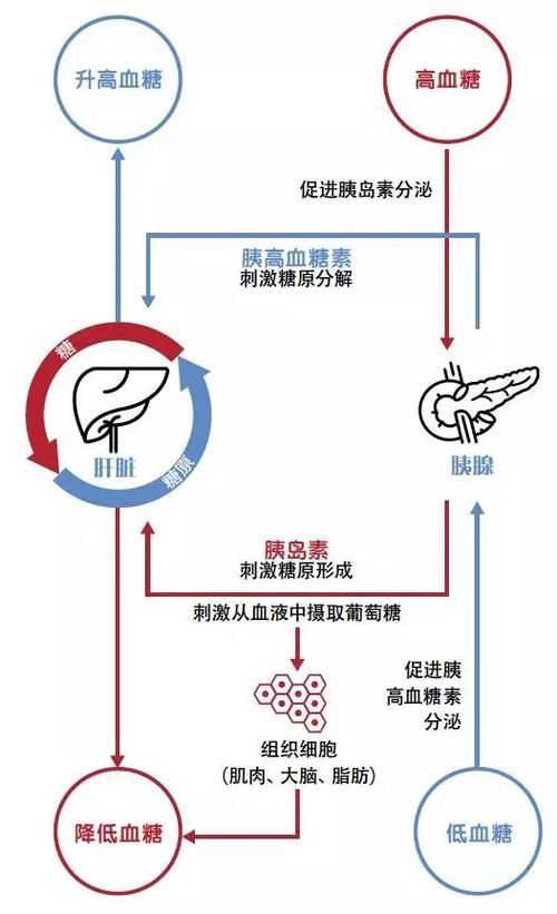 有哪些常見疾病及其防治方法，中國人群高發、具有明確防治路徑的五大類常見疾病