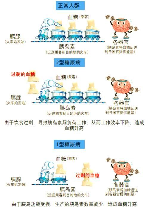 有哪些常見疾病及其防治方法，中國人群高發、具有明確防治路徑的五大類常見疾病