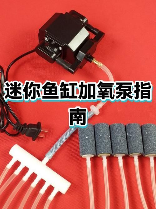 有哪些魚缸增氧方法推薦，中小型魚缸增氧方式