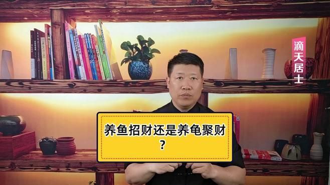 魚和烏龜一起寓意什么，魚和烏龜一起養(yǎng)有哪些注意事項(xiàng)？