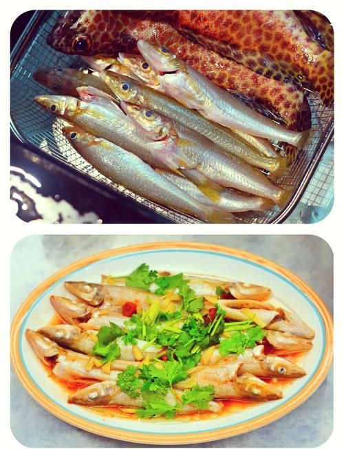 沙龍魚有哪些常見做法，沙龍魚的做法