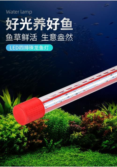 哪種類型的龍魚燈光效果最好？，哪種類型的龍魚燈光效果最好