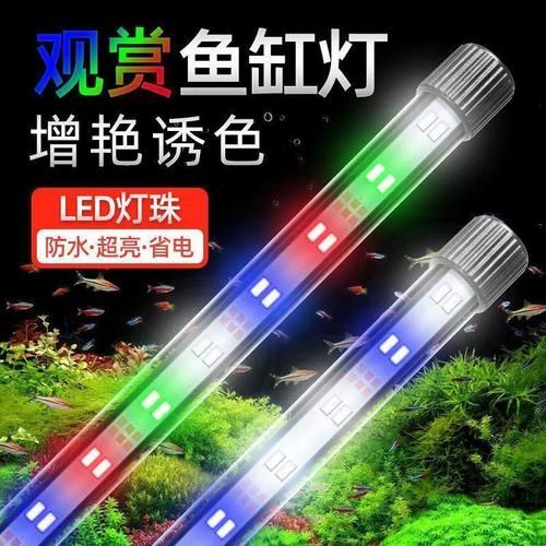 哪種類型的龍魚燈光效果最好？，哪種類型的龍魚燈光效果最好