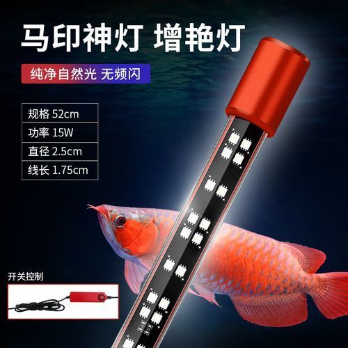 給我推薦幾款適合龍魚的魚缸燈，適合龍魚的燈具推薦