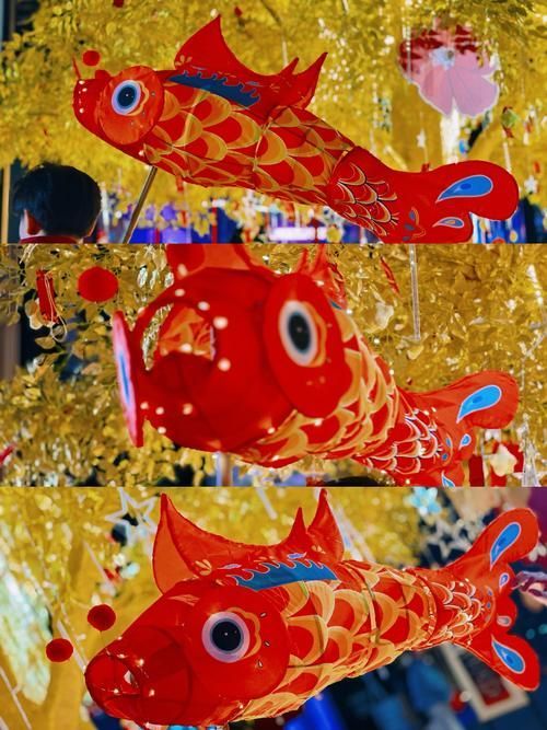 西龍品牌龍魚燈有哪些型號可選？，西龍品牌龍魚燈有哪些型號可選祥龍魚場水族館加盟流程
