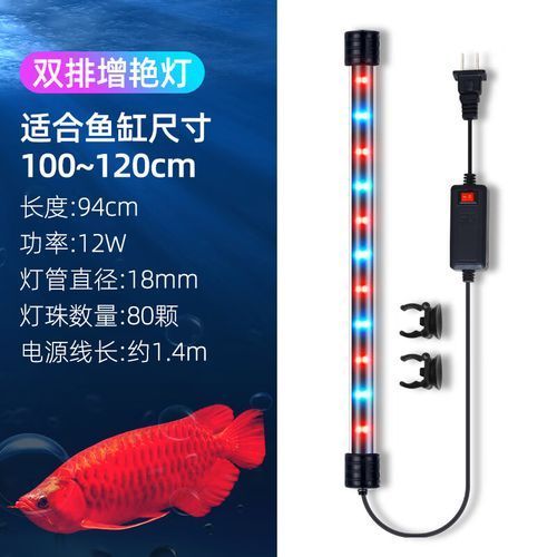 西龍品牌龍魚燈有哪些型號可選？，西龍品牌龍魚燈有哪些型號可選祥龍魚場水族館加盟流程