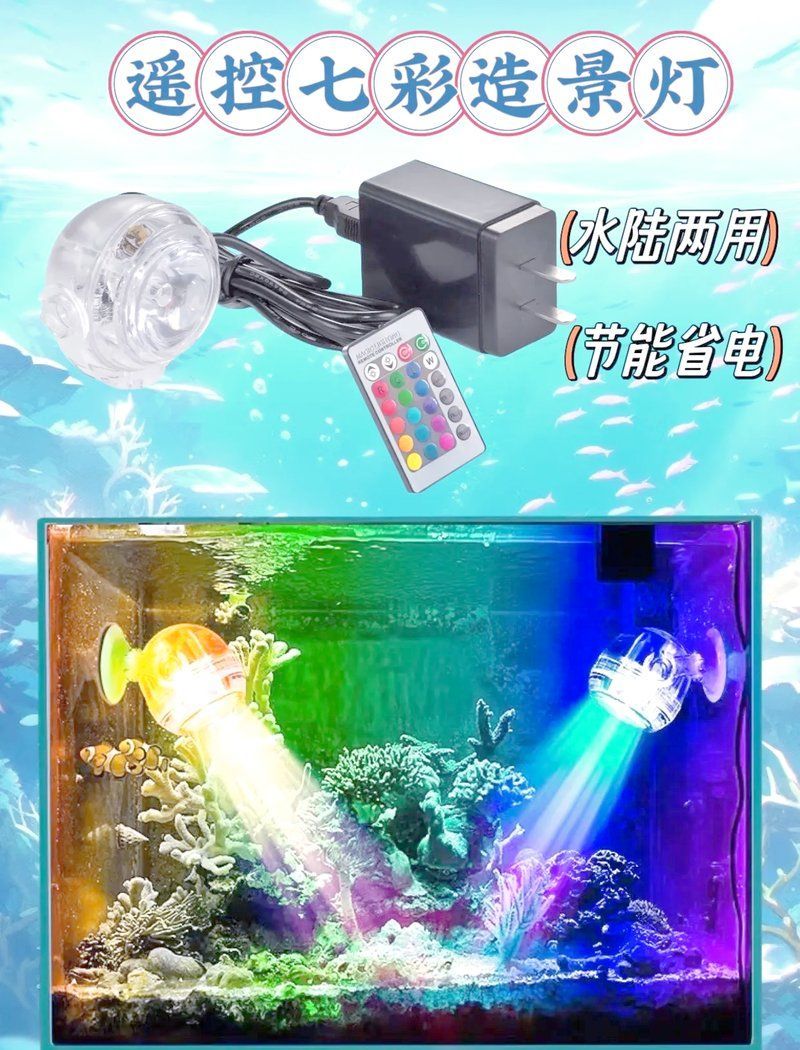 有哪些適合龍魚的小夜燈推薦？，有哪些適合龍魚的小夜燈推薦?