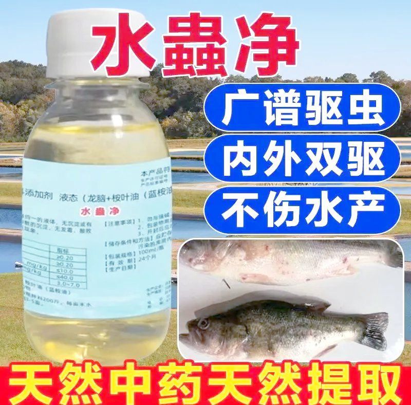 爛鰓病高發期如何預防，如何判斷魚是否感染爛鰓病，爛鰓病高發期，多久用一次藥
