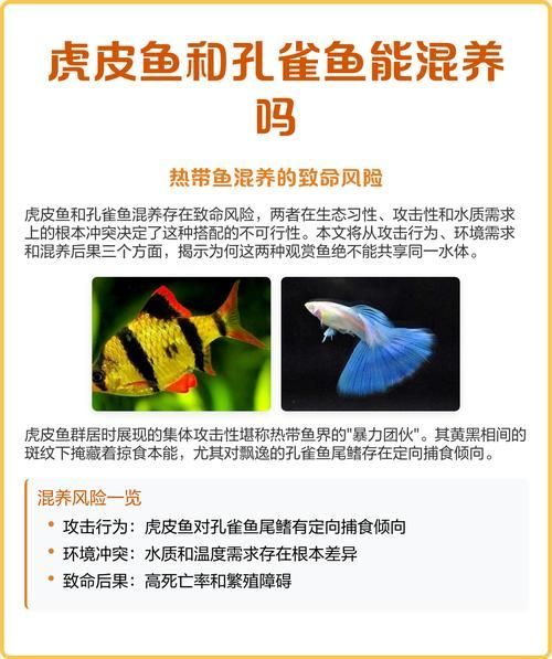 如何判斷魚類是否相容，如何判斷魚類是否相容性的魚類是否相容性的魚類相容