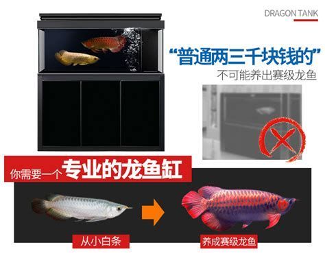 如何改善龍魚水質(zhì)以預(yù)防肉瘤？
