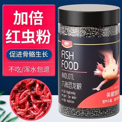 有哪些品牌推薦的六腳恐龍魚飼料？，六腳恐龍魚飼料品牌推薦