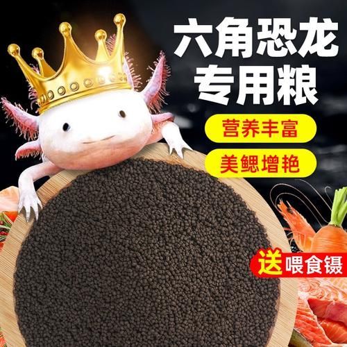 有哪些品牌推薦的六腳恐龍魚飼料？，六腳恐龍魚飼料品牌推薦