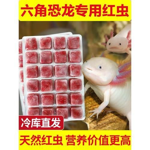 有哪些品牌推薦的六腳恐龍魚飼料？，六腳恐龍魚飼料品牌推薦