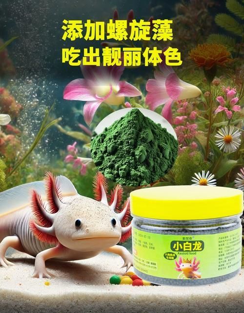有哪些品牌推薦的六腳恐龍魚飼料？，六腳恐龍魚飼料品牌推薦