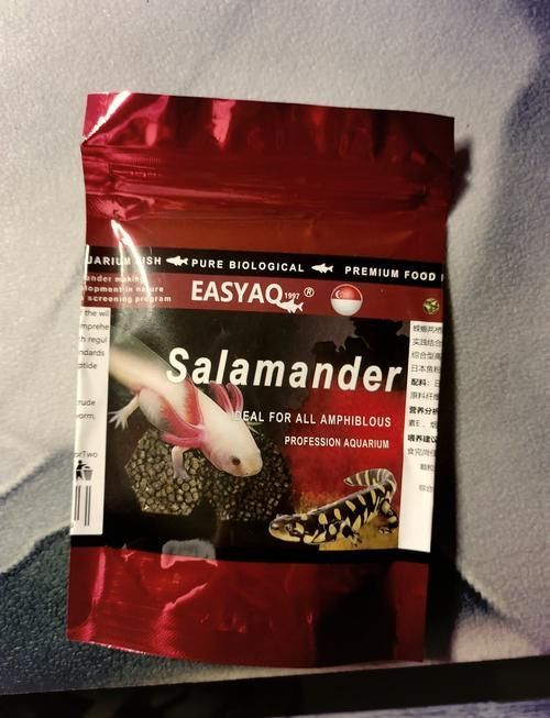 有哪些品牌推薦的六腳恐龍魚飼料？，六腳恐龍魚飼料品牌推薦