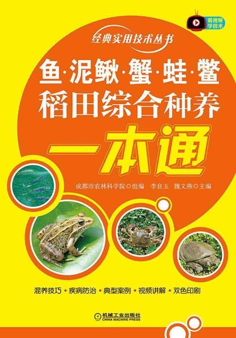 如何在電子書平臺找到《龍魚的養護與鑒賞》？，《龍魚的養護與鑒賞魚的養護與鑒賞標準