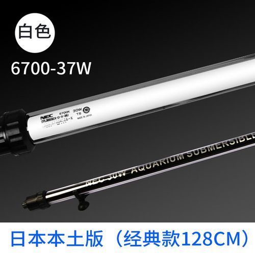 給我推薦幾款適合金龍魚的燈，金龍魚燈具選購指南