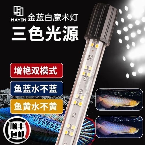 給我推薦幾款適合金龍魚的燈，金龍魚燈具選購指南