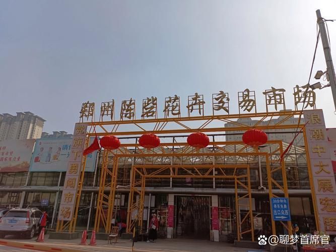 鄭州龍魚(yú)市場(chǎng)在哪里可以買到，鄭州哪里可以買到龍魚(yú)