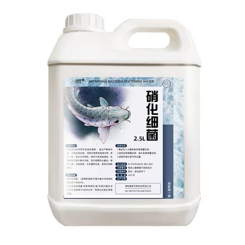 哪個(gè)品牌的龍魚1號口碑最好，哪個(gè)品牌的龍魚1號口碑最好傲深龍魚1號口碑最好