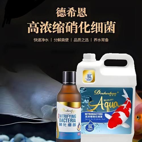 哪個(gè)品牌的龍魚1號口碑最好，哪個(gè)品牌的龍魚1號口碑最好傲深龍魚1號口碑最好
