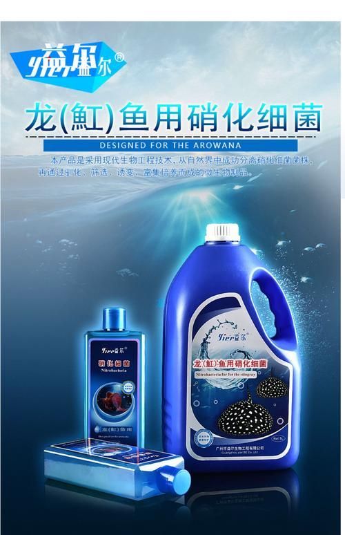 哪個品牌的龍魚1號口碑最好，哪個品牌的龍魚1號口碑最好傲深龍魚1號口碑最好
