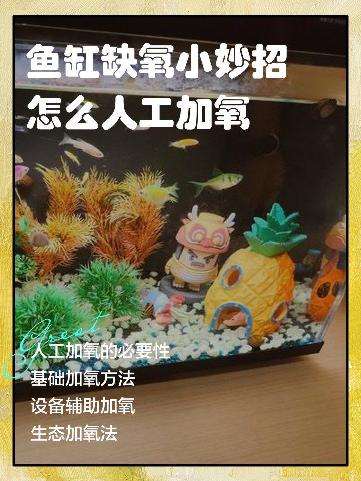 有哪些方法可以增加龍魚缸的溶氧量？，增加龍魚缸溶氧量是多少，龍魚缸溶氧量是多少