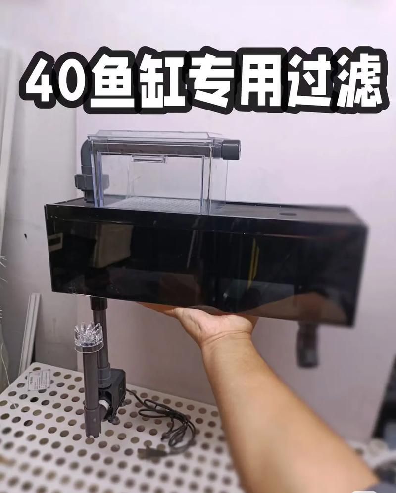 如何設置龍須貓魚的過濾系統，如何設置龍須貓魚