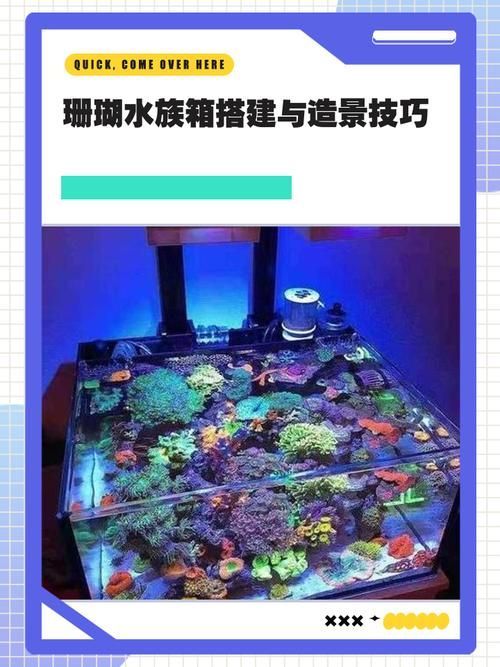 泗水龍魚的養殖技術如何？，泗水龍魚養殖技術
