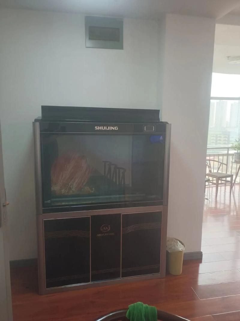 有哪些品牌的大型水族箱推薦，大型水族箱品牌推薦，適合家庭客廳使用