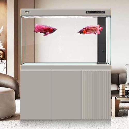 有哪些品牌的大型水族箱推薦，大型水族箱品牌推薦，適合家庭客廳使用