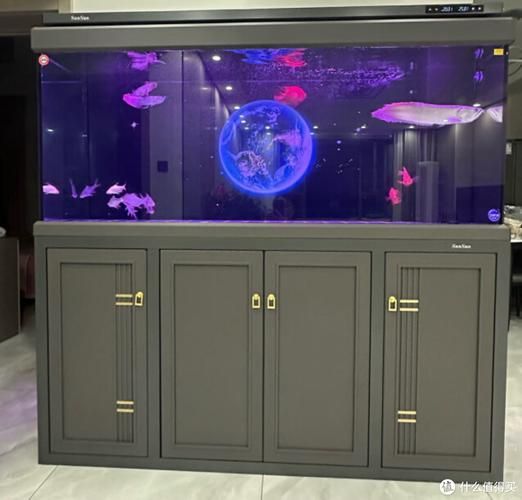有哪些品牌的大型水族箱推薦，大型水族箱品牌推薦，適合家庭客廳使用