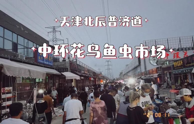 天津龍魚的市場需求如何，天津龍魚市場的關鍵信息