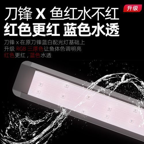 推薦幾款適合紅龍的LED燈，古典藍底過背金龍的品相，